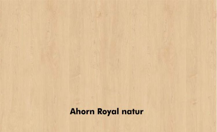 RMF Zubehörmöbel EXTEND Layer Tür links in Ahorn Royal Farbe 87